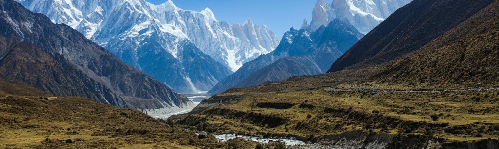 Langtang Valley with green meadows and snow peaks
